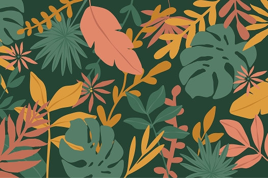 projet_site_web_camif_illustration_motif_landing_operation_jardin_portfolio_purplemay_manon_williot_1 Illustration motif végétal décoratif pour l'opération commerciale jardin de Camif, par purplemay Manon Williot