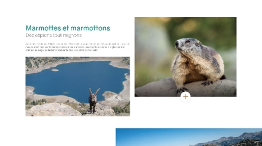 projet_site_web_office_tourisme_verdon_portfolio_purplemay_manon_williot_11 Maquette de la page "lac d'allos" desktop du projet de refonte de site web pour l'office de tourisme du verdon, par purplemay Manon Williot